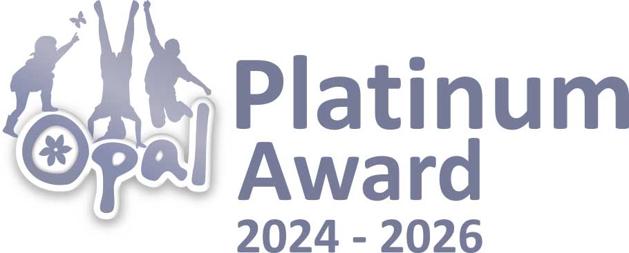 Platinum Award
